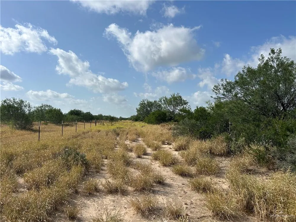 Tract 3 FM 2687 Zapata, TX 78076