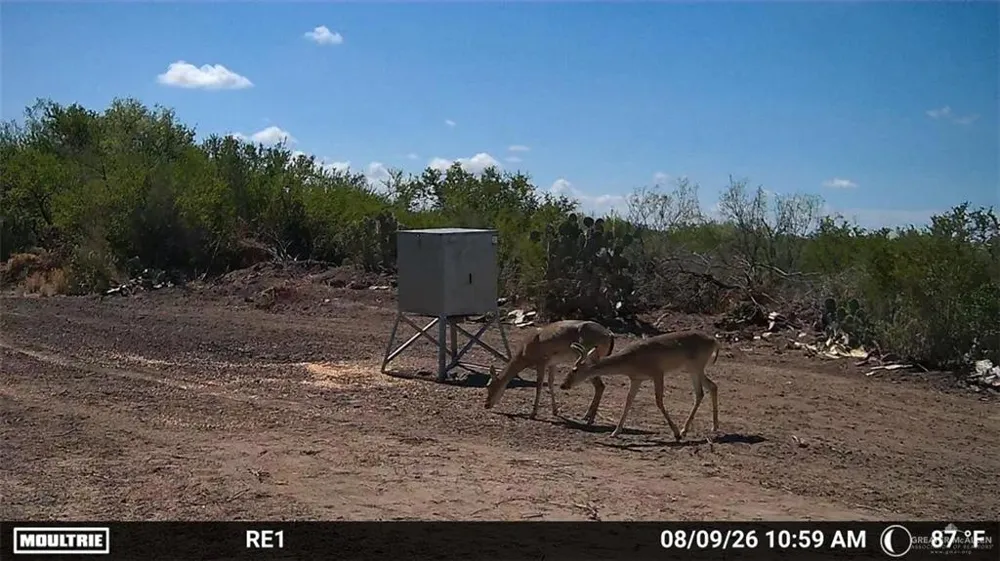 Tract 3 FM 2687 Zapata, TX 78076