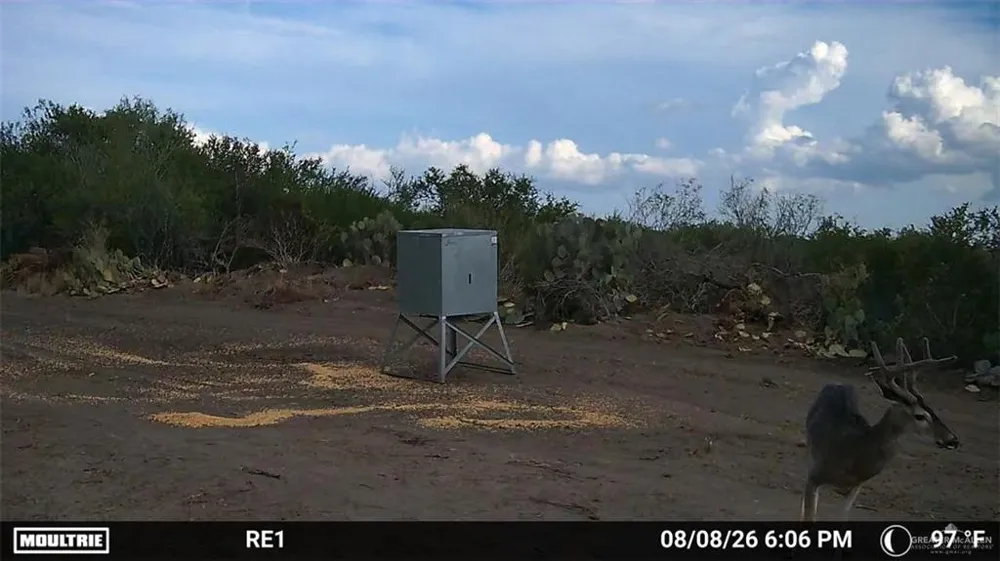 Tract 3 FM 2687 Zapata, TX 78076