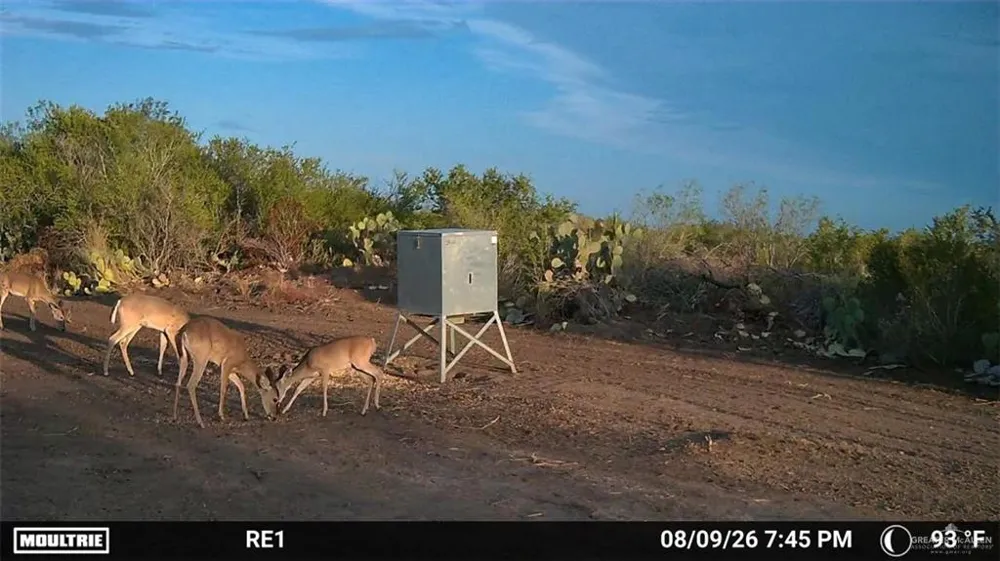 Tract 3 FM 2687 Zapata, TX 78076