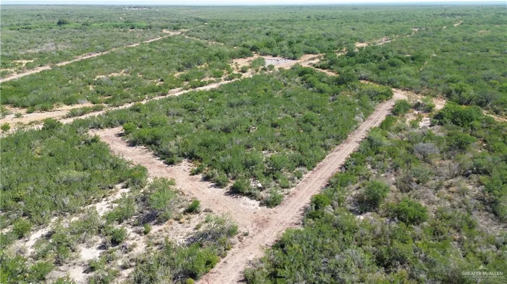 Tract 3 FM 2687 Zapata, TX 78076