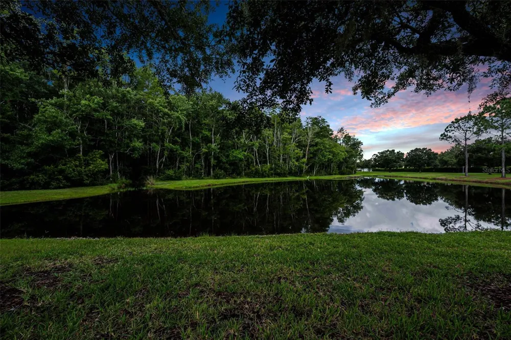 1553 ARLINGTON OAKS COURT New Port Richey, FL 34655