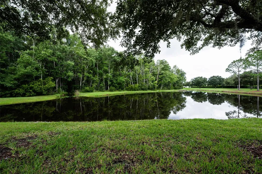1553 ARLINGTON OAKS COURT New Port Richey, FL 34655