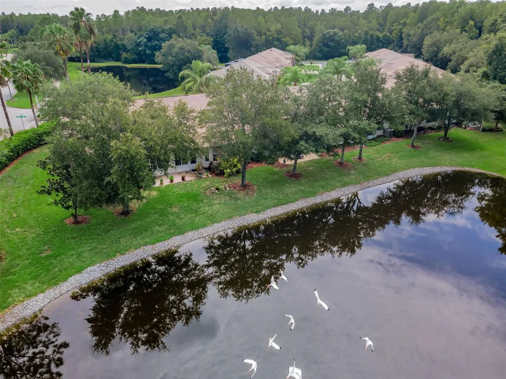 1553 ARLINGTON OAKS COURT New Port Richey, FL 34655