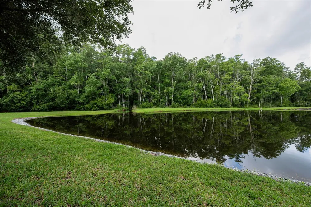 1553 ARLINGTON OAKS COURT New Port Richey, FL 34655