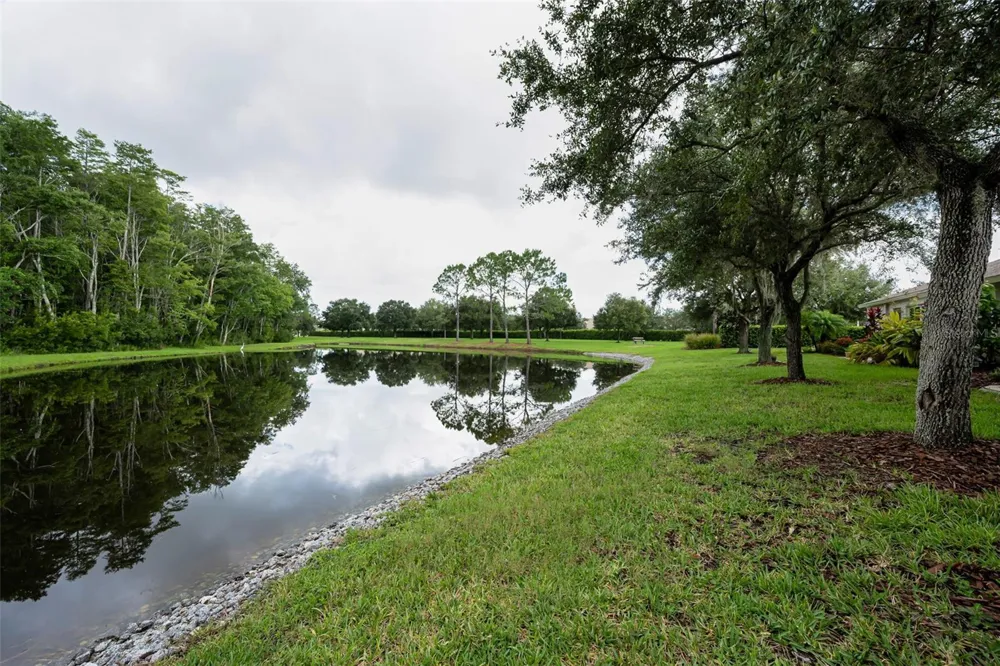 1553 ARLINGTON OAKS COURT New Port Richey, FL 34655