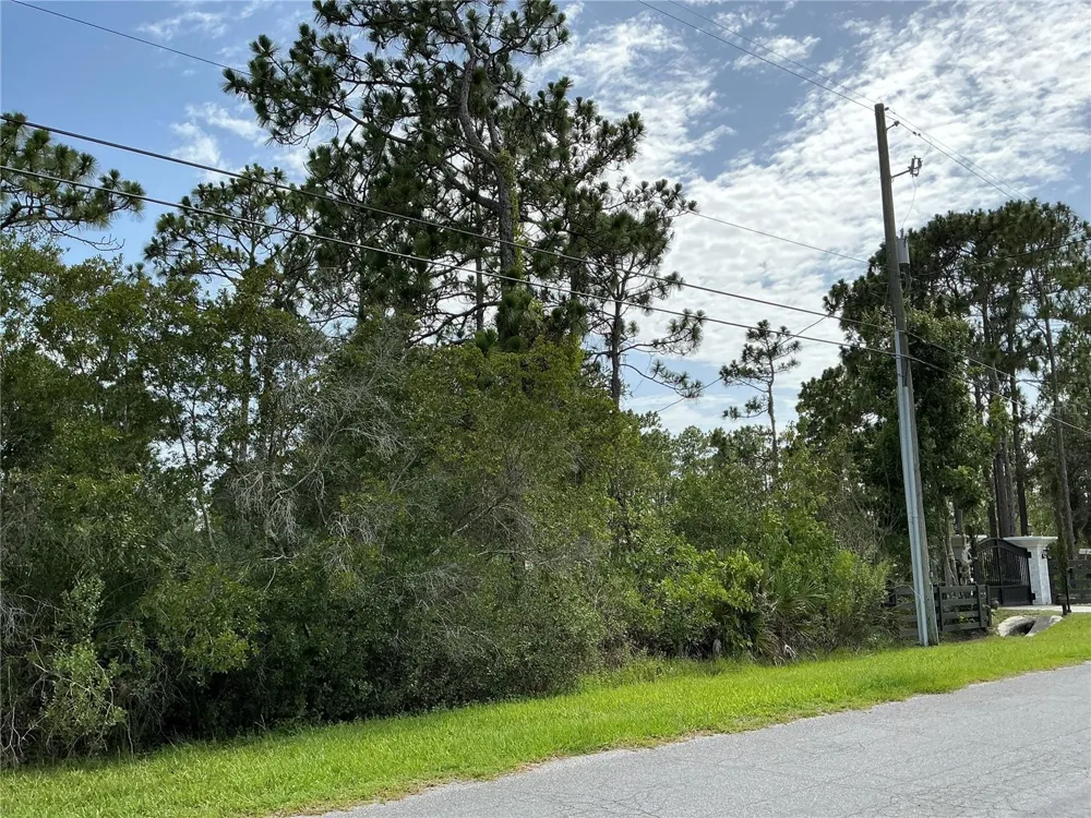 LOT 22 PEABODY STREET Orlando, FL 32833