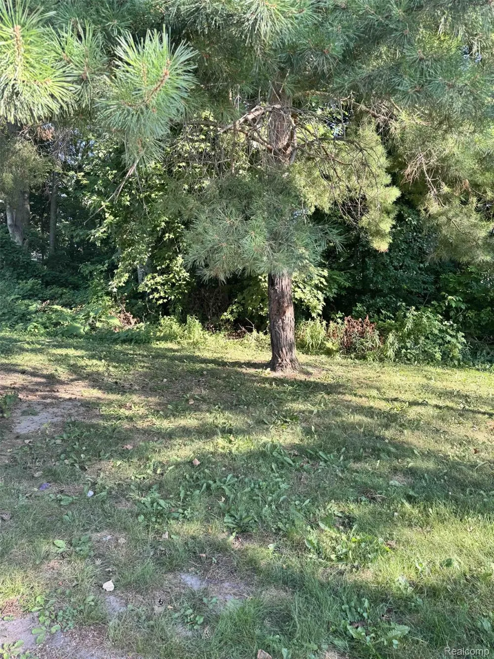 11079 Armstrong Thomas Township, MI 48609