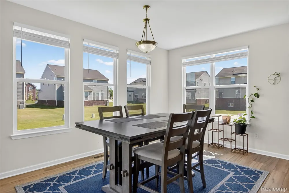 58676 Losino Drive Lyon Charter Township, MI 48178
