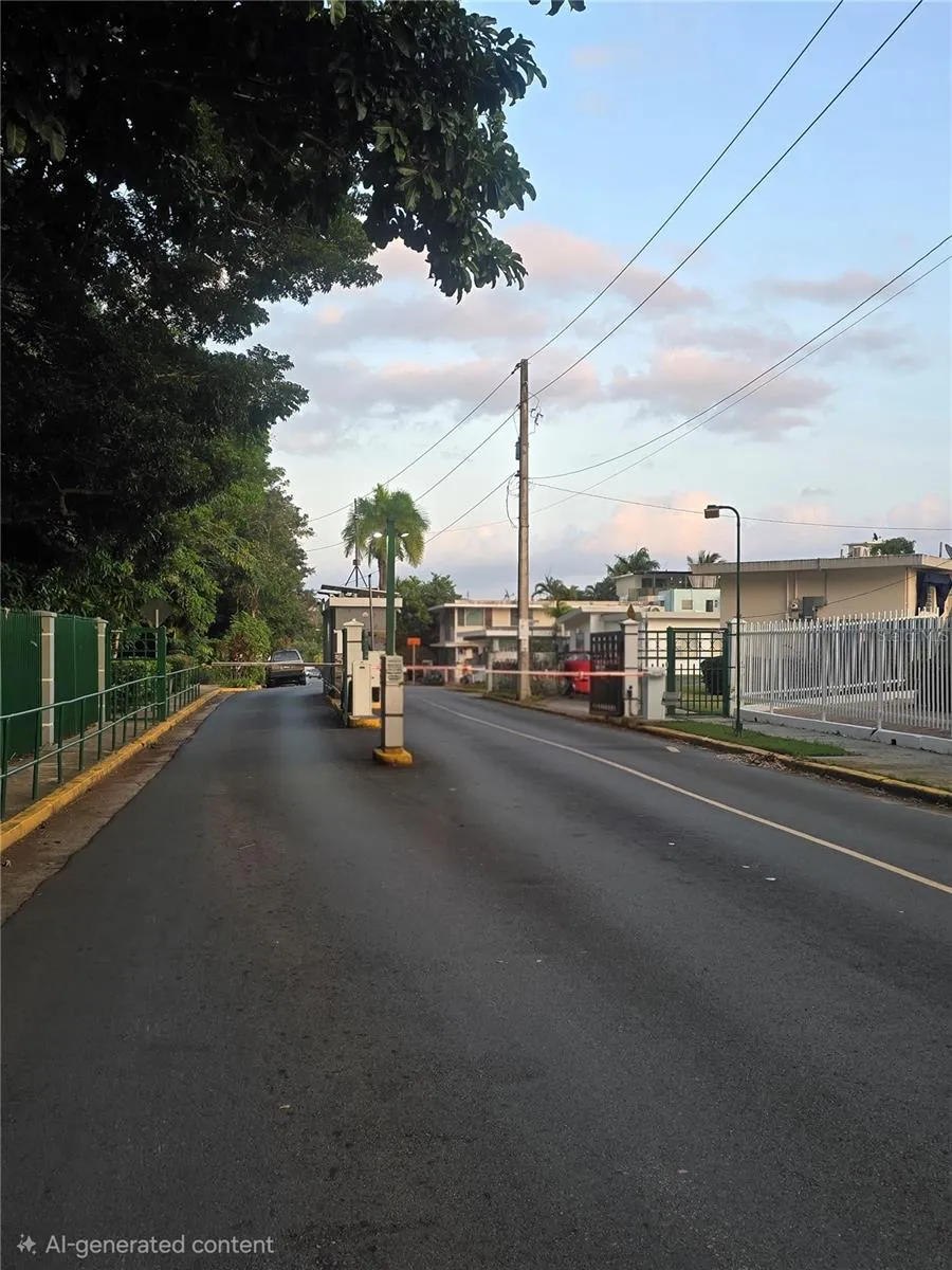1608 TAMESIS #apt. 201B San Juan, PR 00926