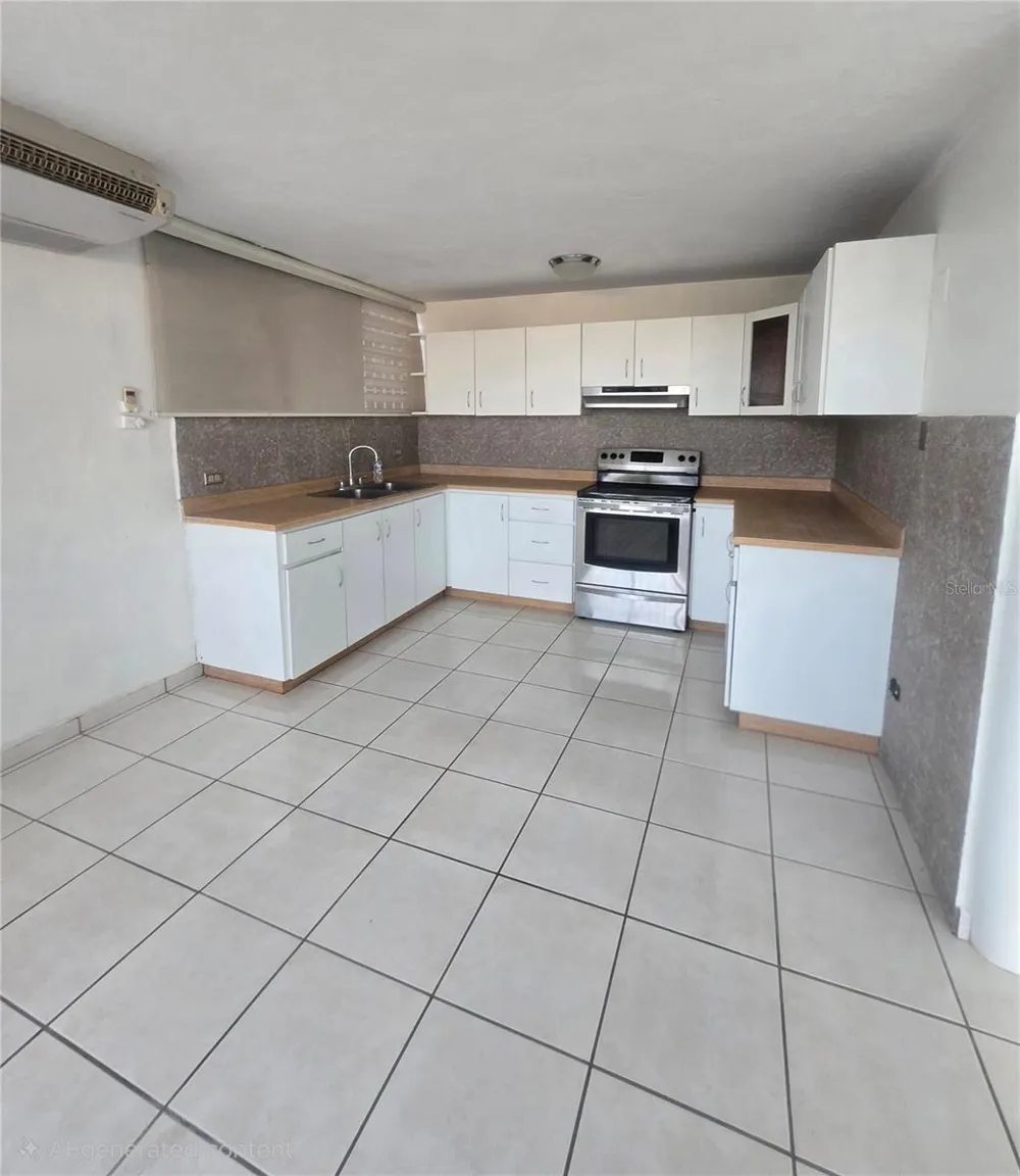 1608 TAMESIS #apt. 201B San Juan, PR 00926
