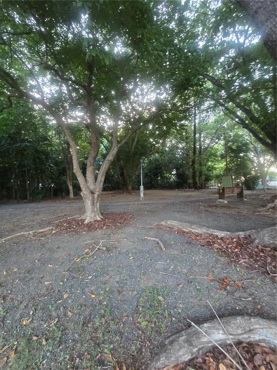 1608 TAMESIS #apt. 201B San Juan, PR 00926