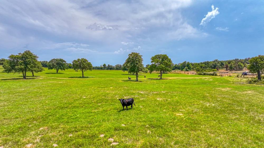 three Quarter Loop Poolville, TX 76487