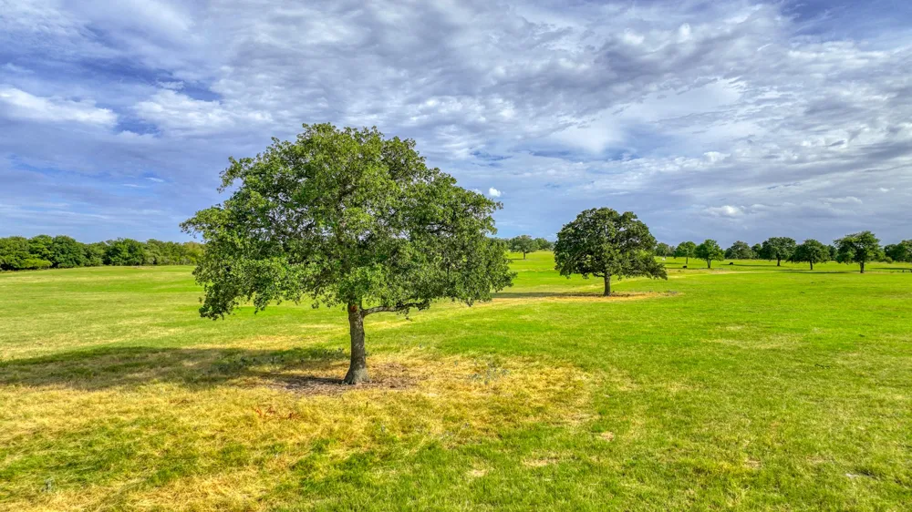 three Quarter Loop Poolville, TX 76487