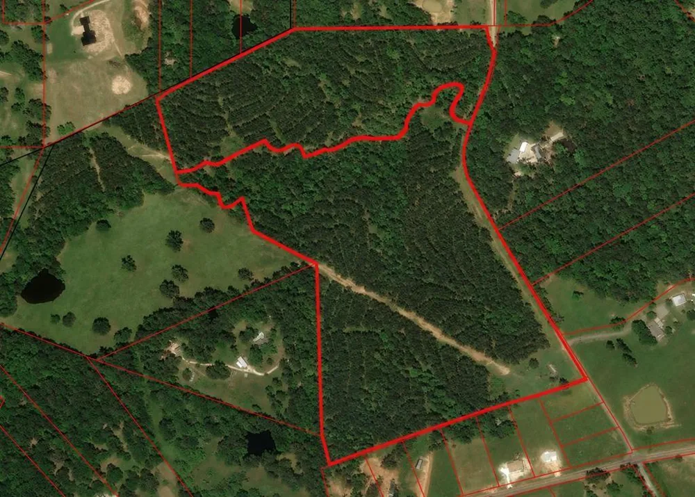 129 Fenley Flat Road Pollok, TX 75969
