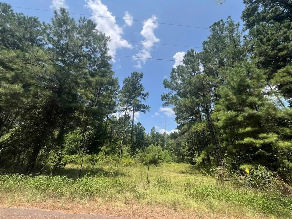 129 Fenley Flat Road Pollok, TX 75969