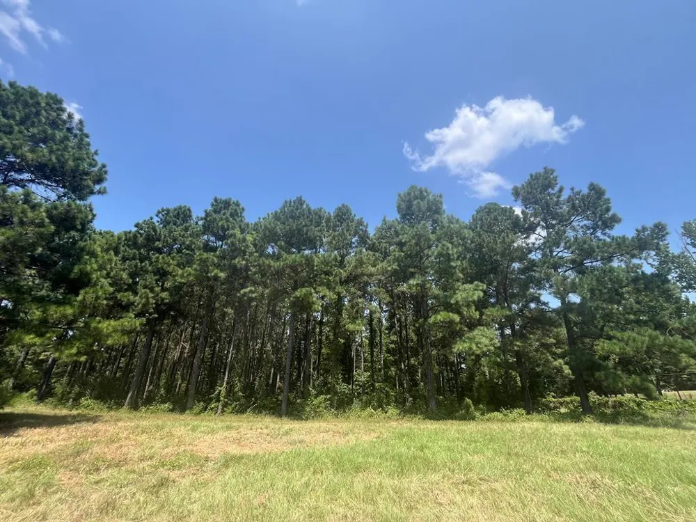 129 Fenley Flat Road Pollok, TX 75969