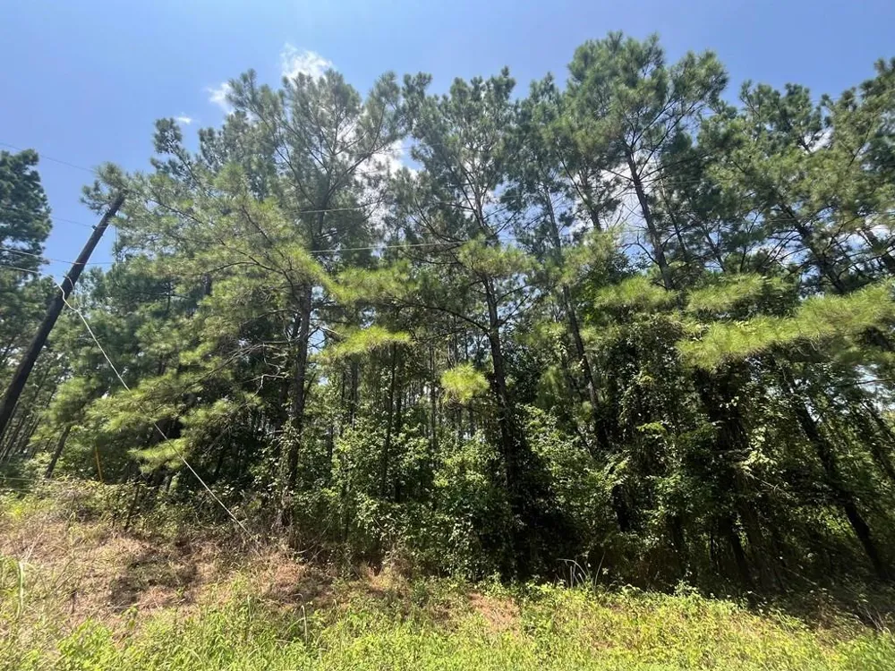 129 Fenley Flat Road Pollok, TX 75969