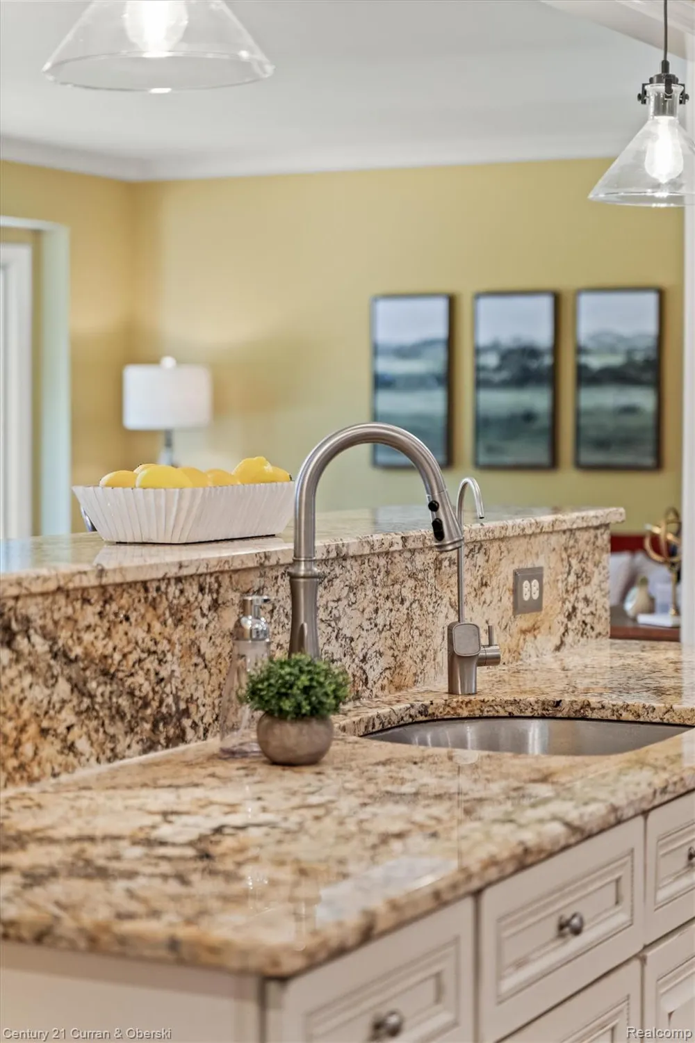 15389 Lakeside Street Plymouth Charter Township, MI 48170