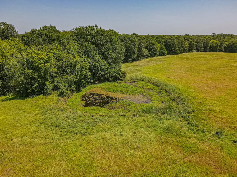 2141 Rs County Road 2250 Alba, TX 75410