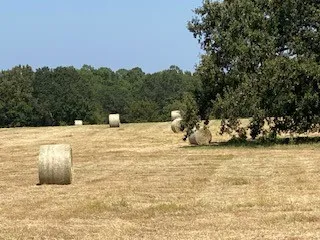 2141 Rs County Road 2250 Alba, TX 75410