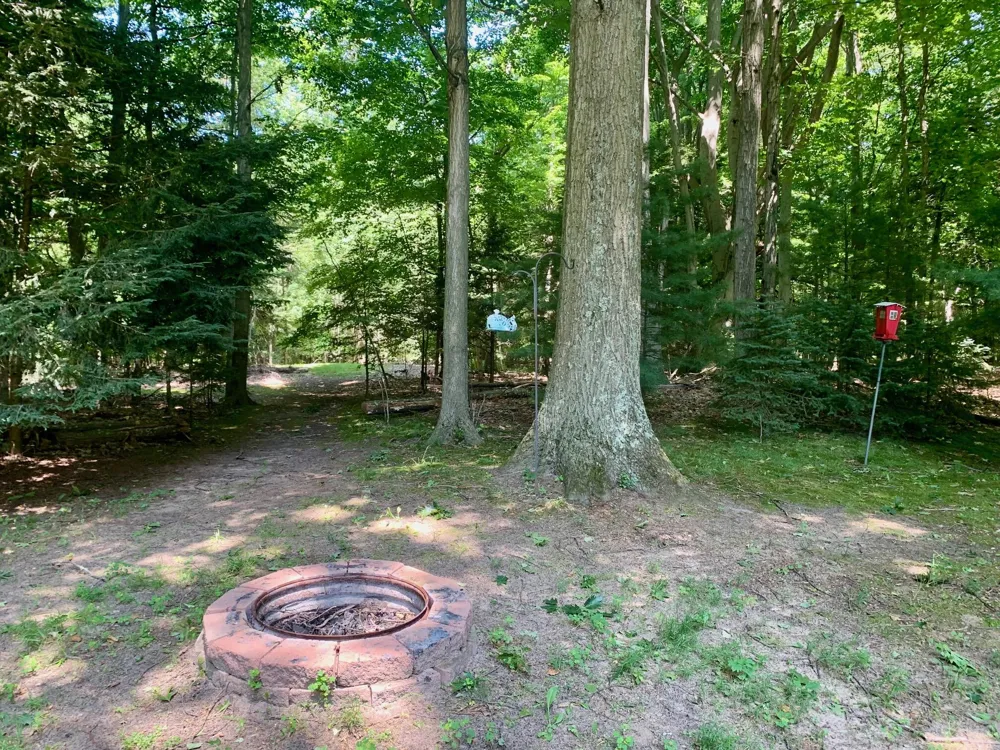 7354 W M-116 Ludington, MI 49431