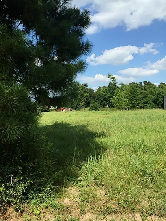 Rudolph Road Road Tomball, TX 77375