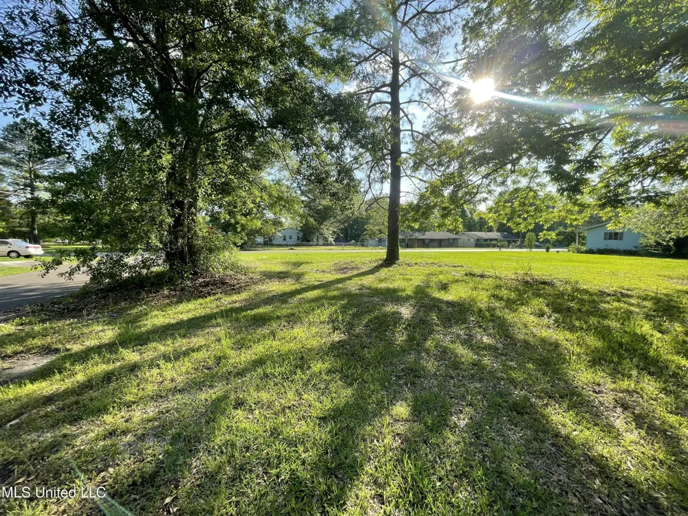 424 J C Killingsworth Drive Hattiesburg, MS 39401
