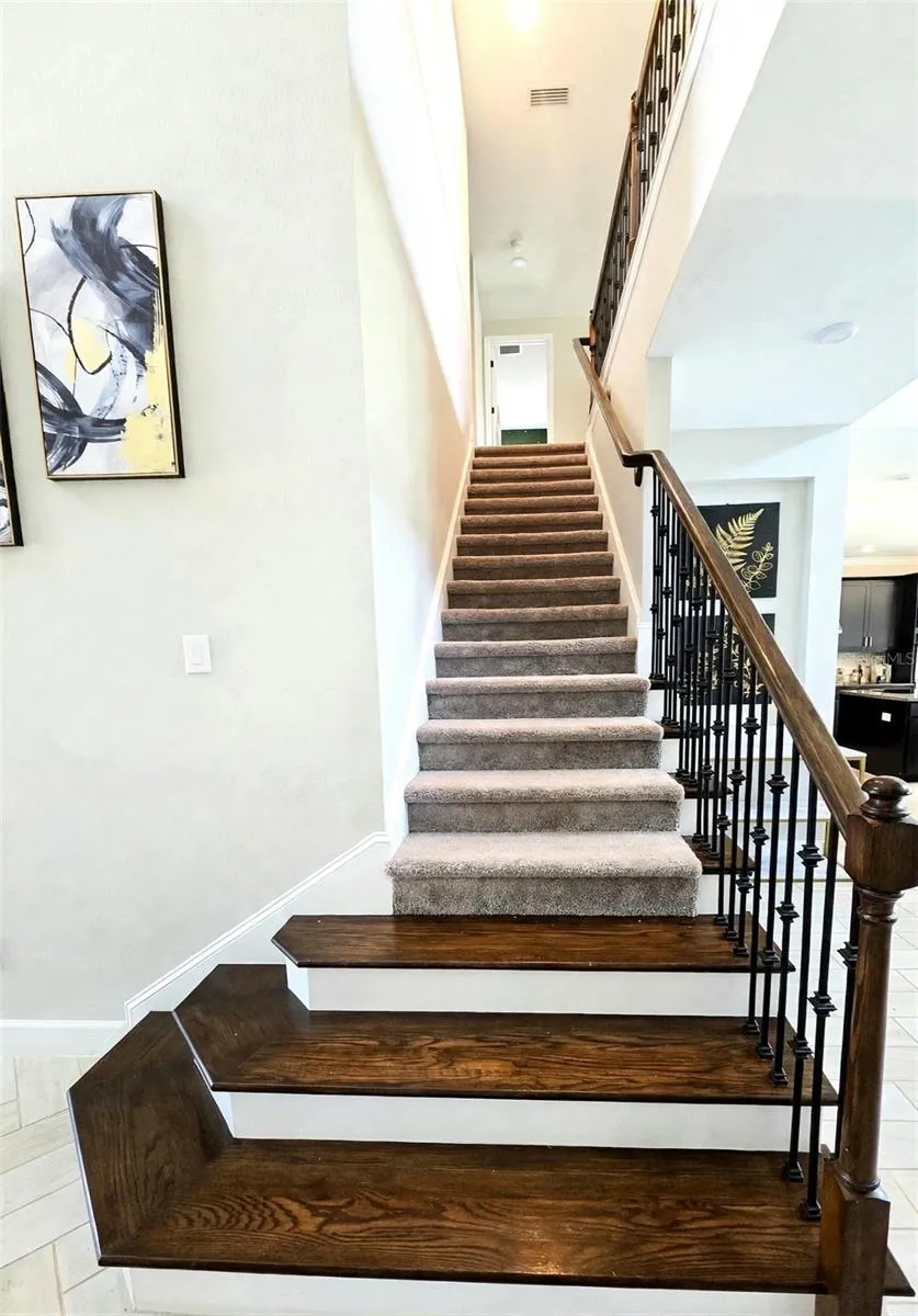 7228 BRADBURY CIRCLE Wesley Chapel, FL 33545