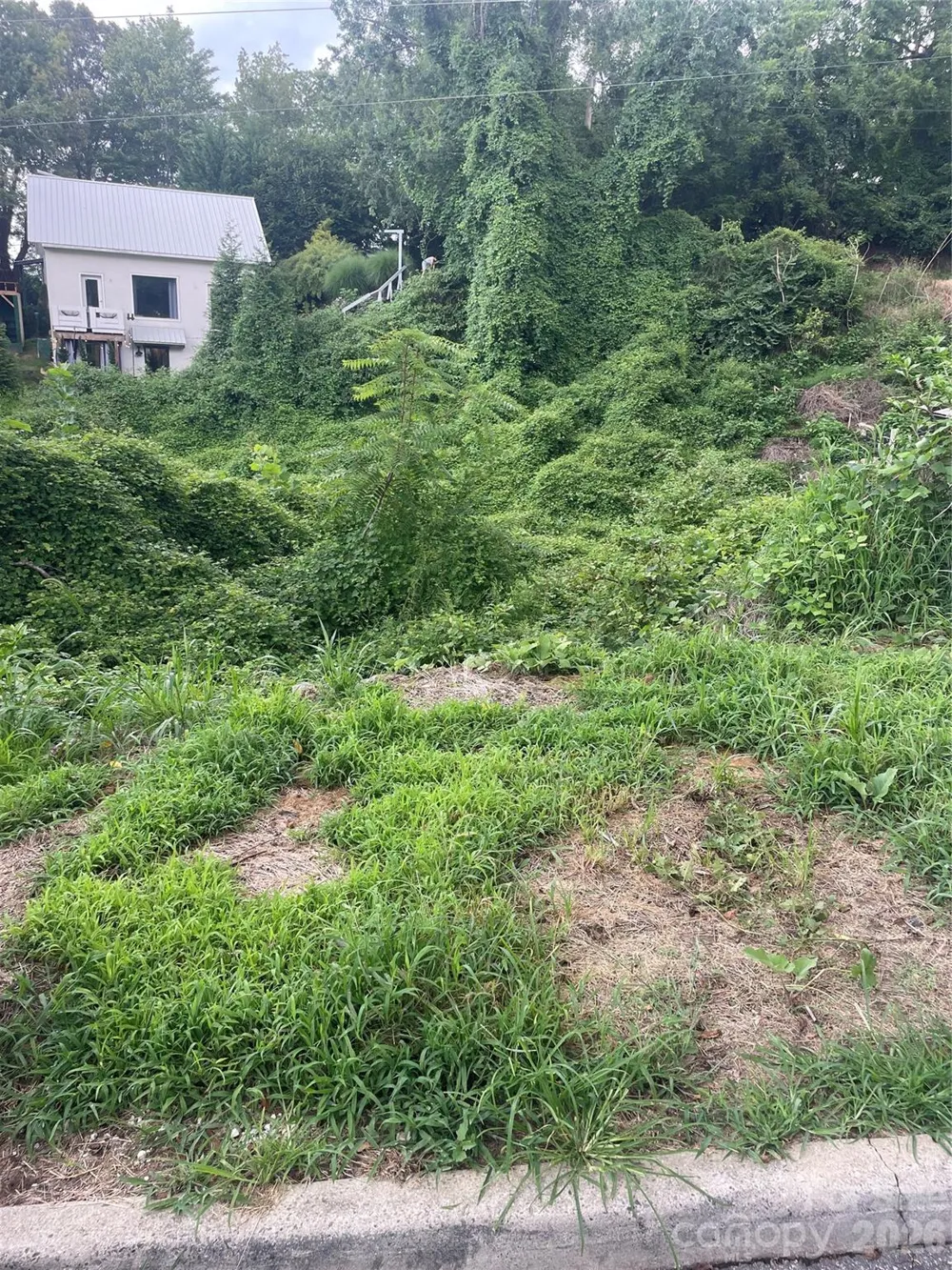 429 W Haywood Street Asheville, NC 28801