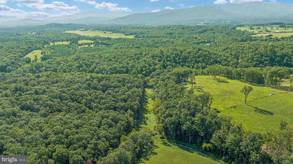 359 RIDGEWAY ROAD Front Royal, VA 22630