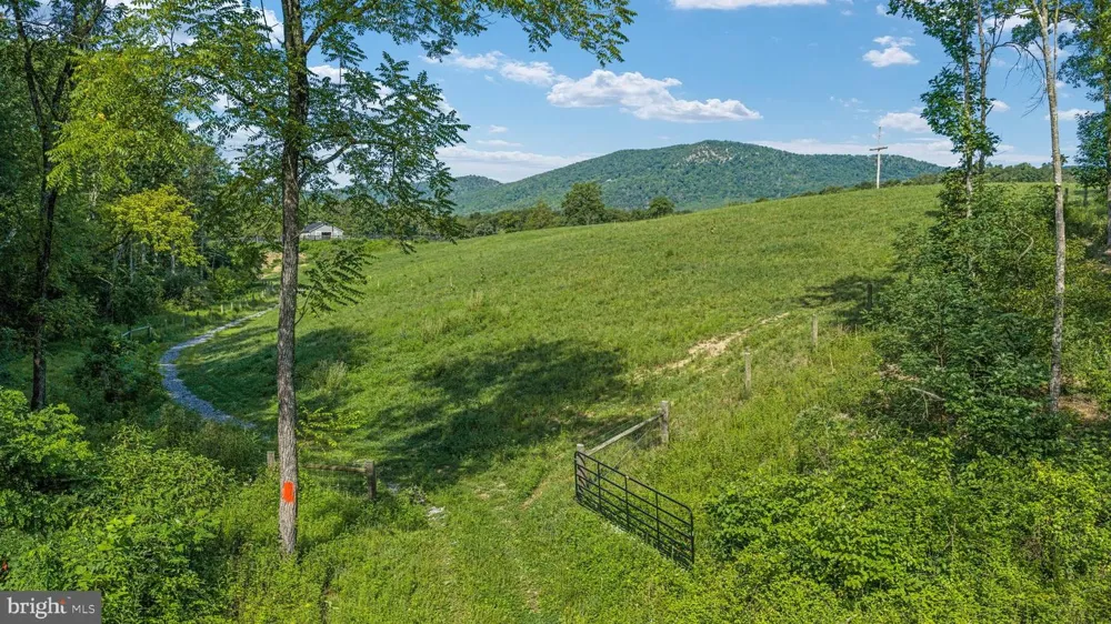 359 RIDGEWAY ROAD Front Royal, VA 22630