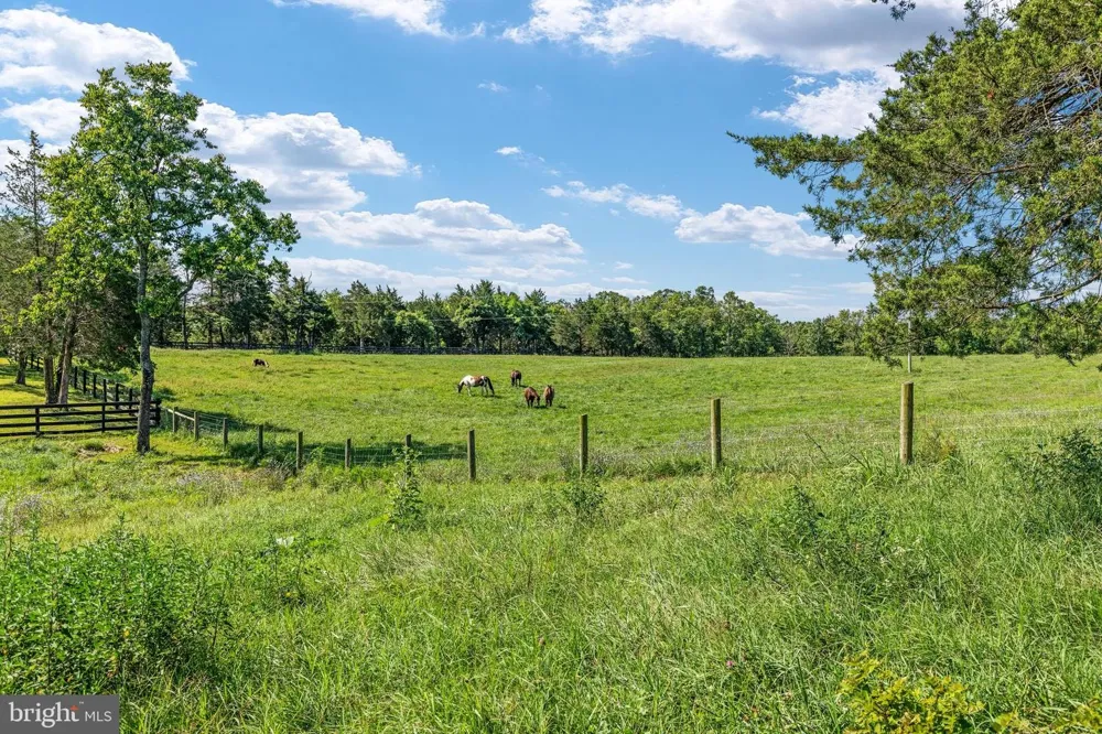 359 RIDGEWAY ROAD Front Royal, VA 22630
