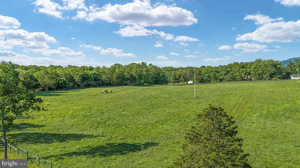 359 RIDGEWAY ROAD Front Royal, VA 22630
