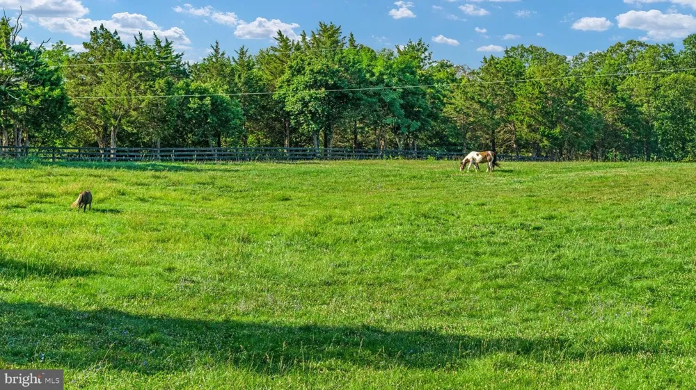 359 RIDGEWAY ROAD Front Royal, VA 22630
