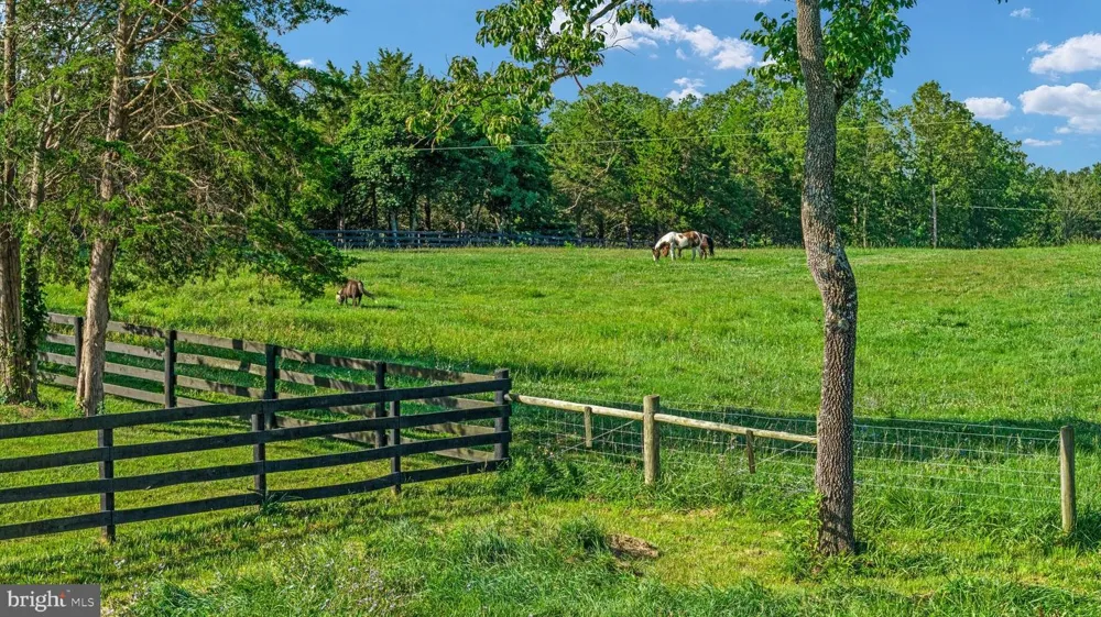 359 RIDGEWAY ROAD Front Royal, VA 22630