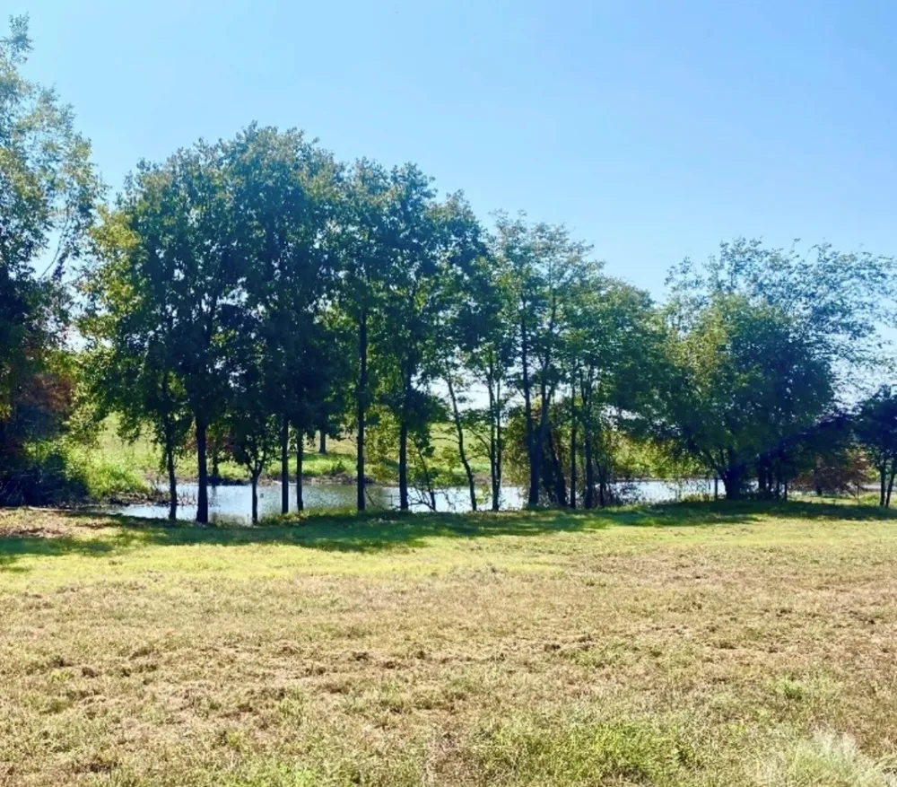 305 Sailview Court Honey Grove, TX 75446