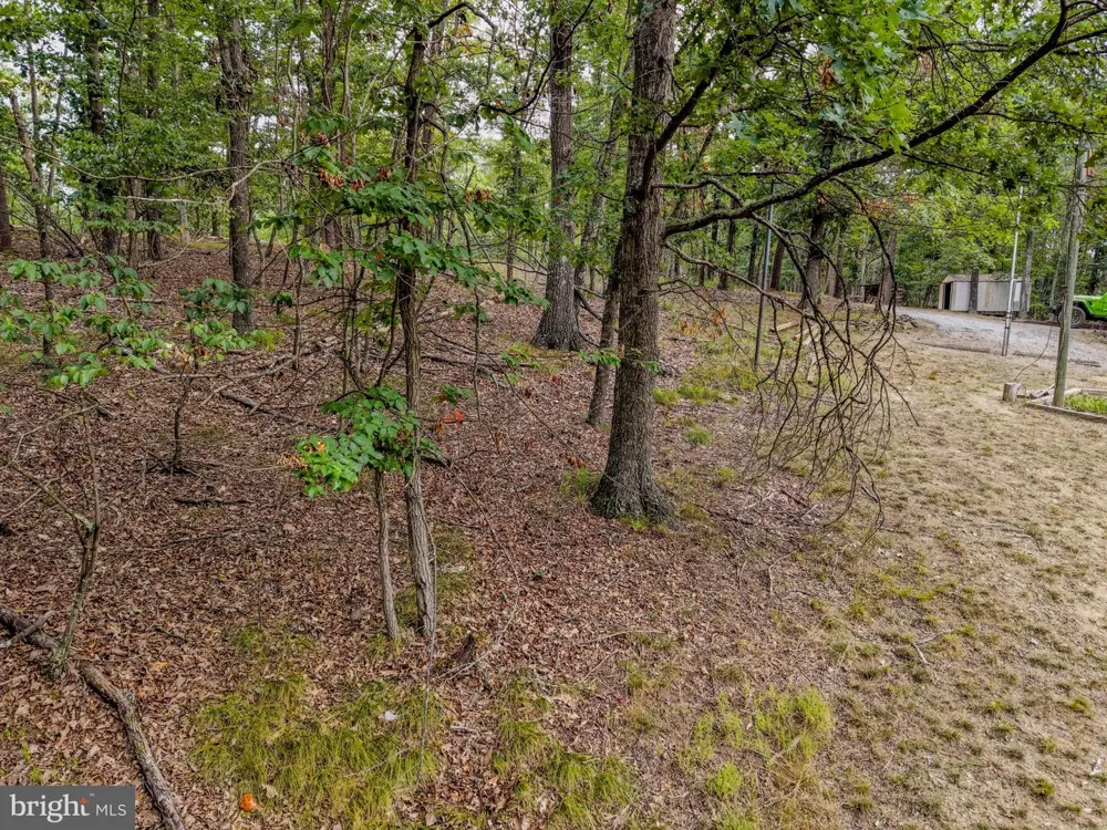 843 CEDAR RUN LANE Great Cacapon, WV 25422