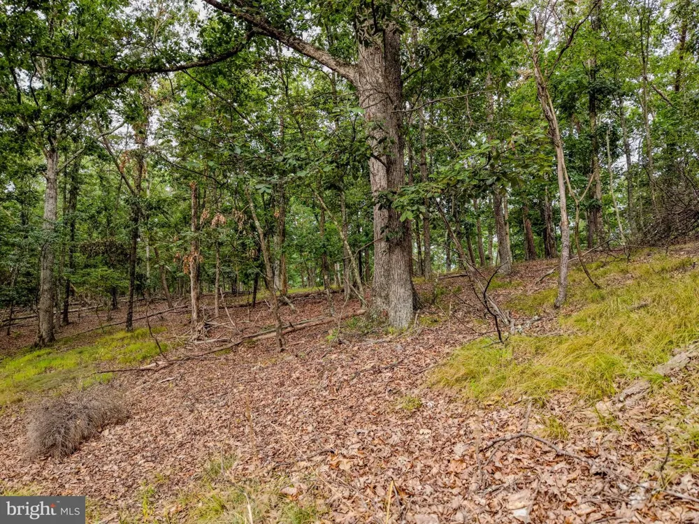 843 CEDAR RUN LANE Great Cacapon, WV 25422