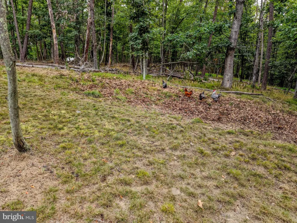 843 CEDAR RUN LANE Great Cacapon, WV 25422