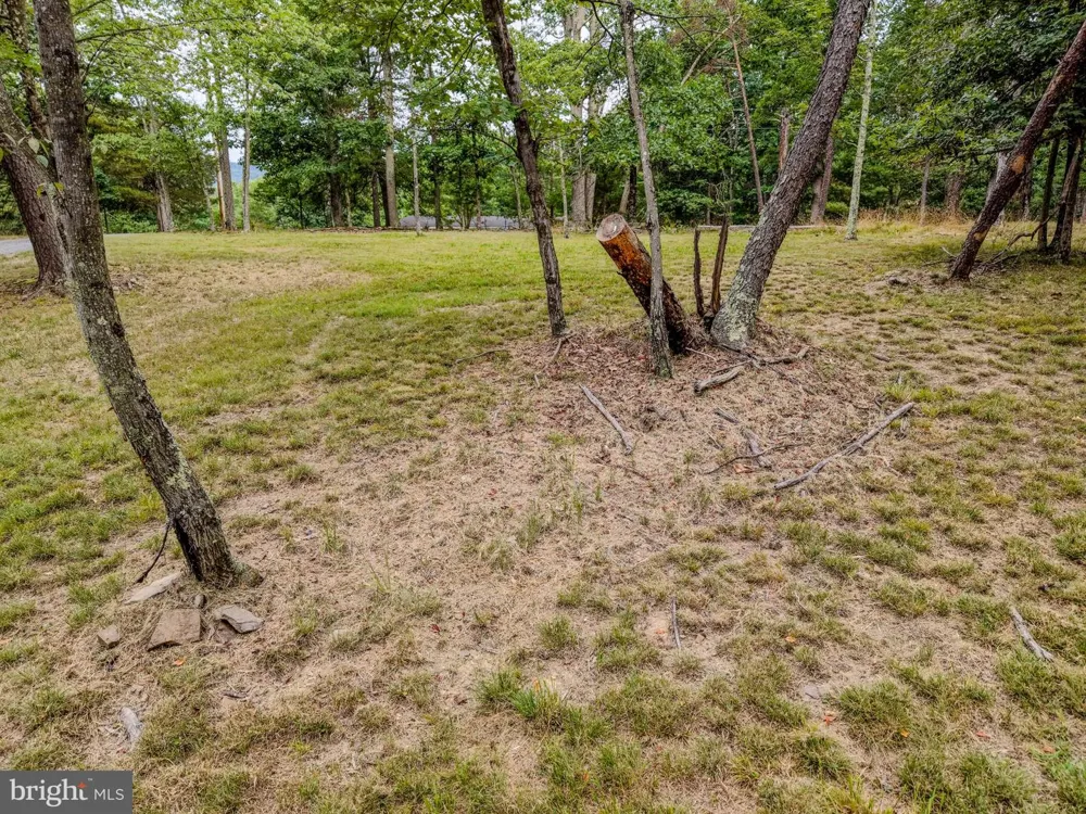 843 CEDAR RUN LANE Great Cacapon, WV 25422