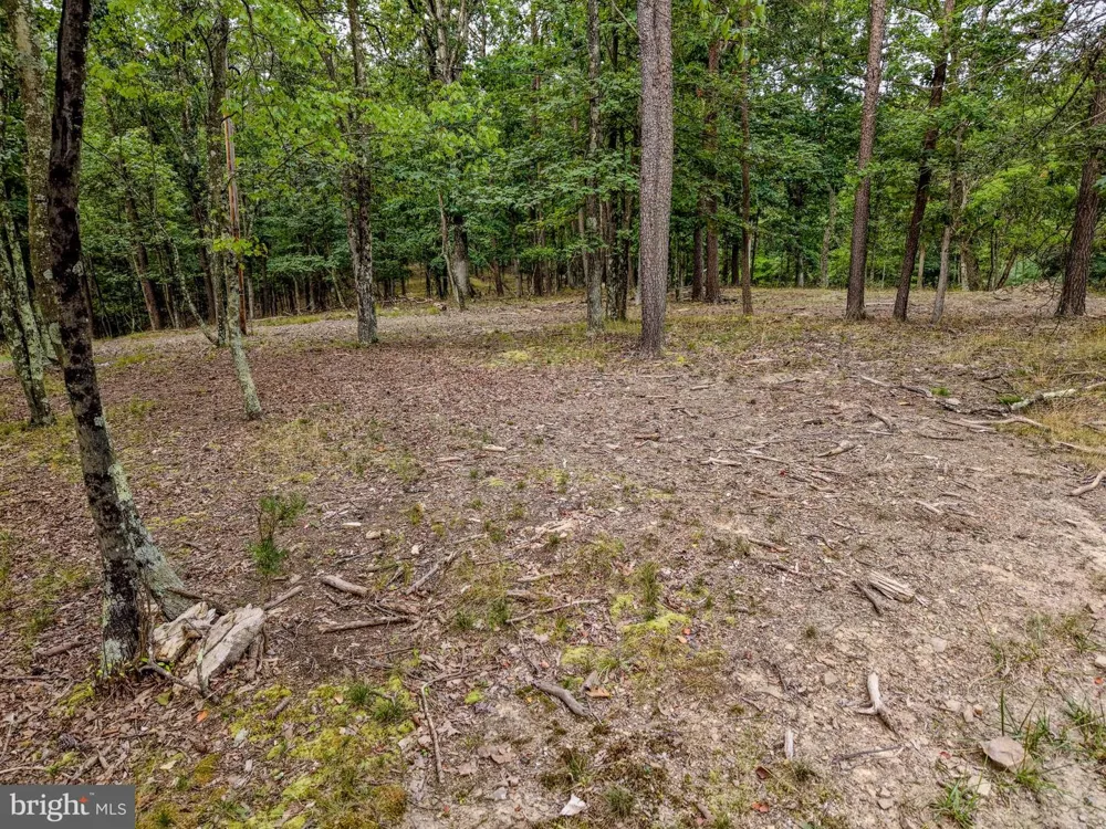 843 CEDAR RUN LANE Great Cacapon, WV 25422