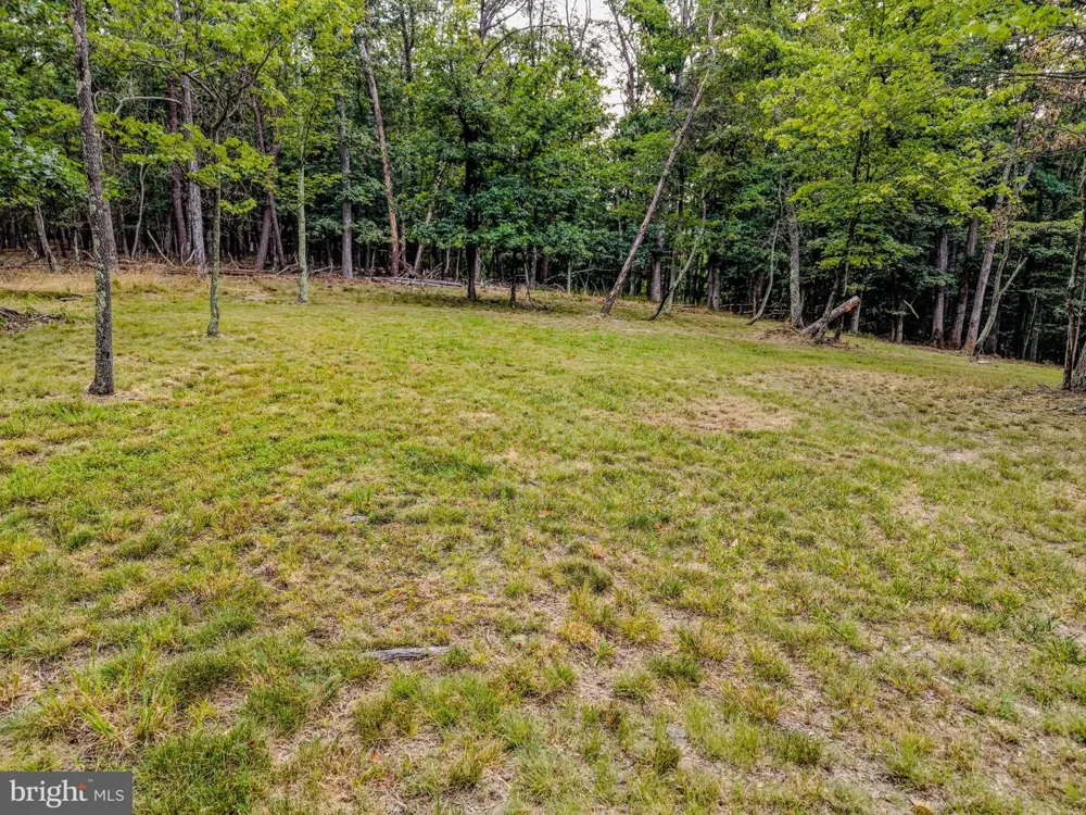 843 CEDAR RUN LANE Great Cacapon, WV 25422