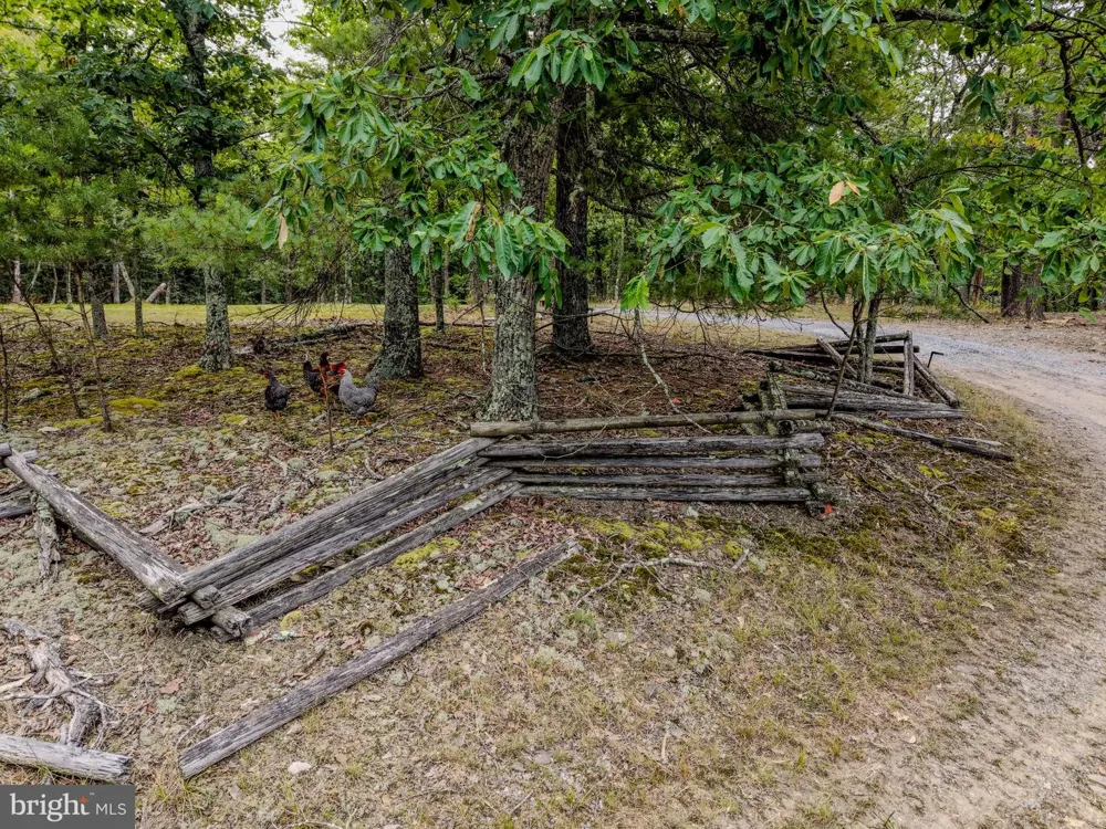 843 CEDAR RUN LANE Great Cacapon, WV 25422