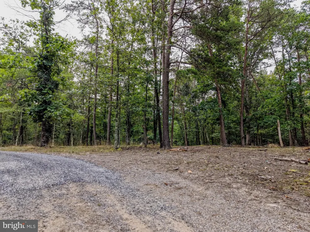 843 CEDAR RUN LANE Great Cacapon, WV 25422