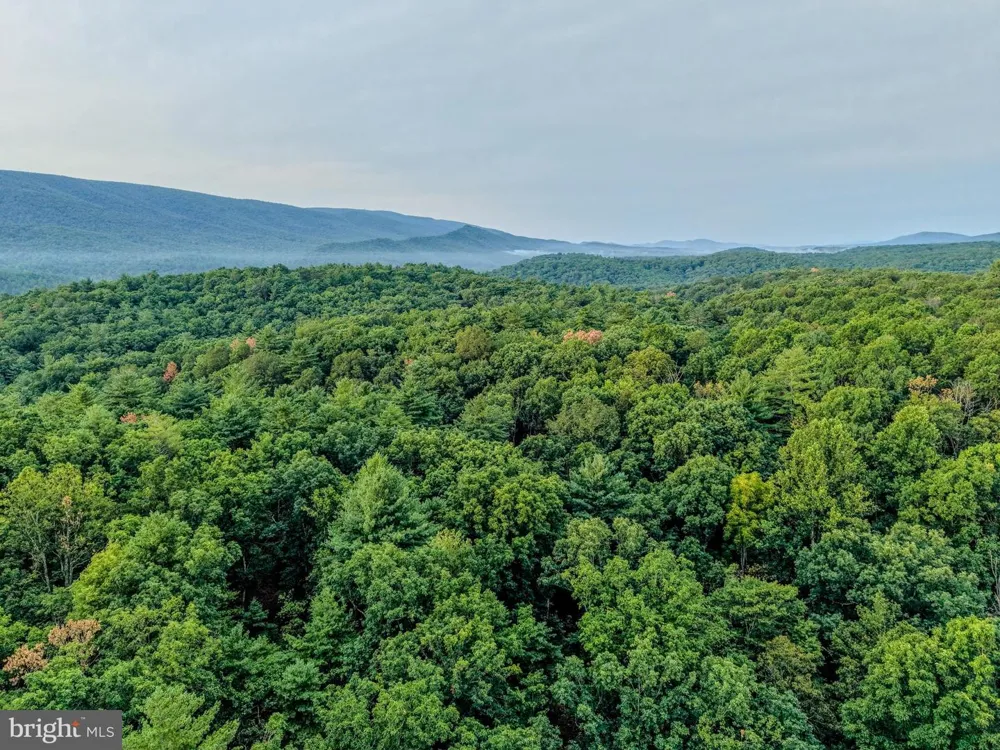 843 CEDAR RUN LANE Great Cacapon, WV 25422