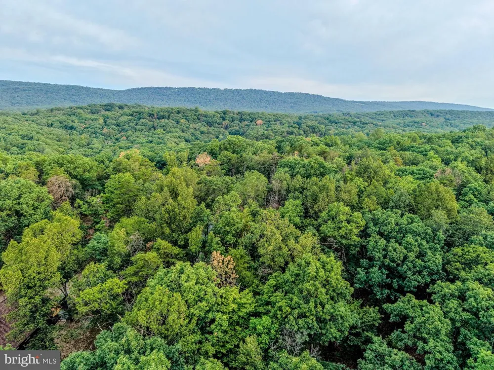 843 CEDAR RUN LANE Great Cacapon, WV 25422