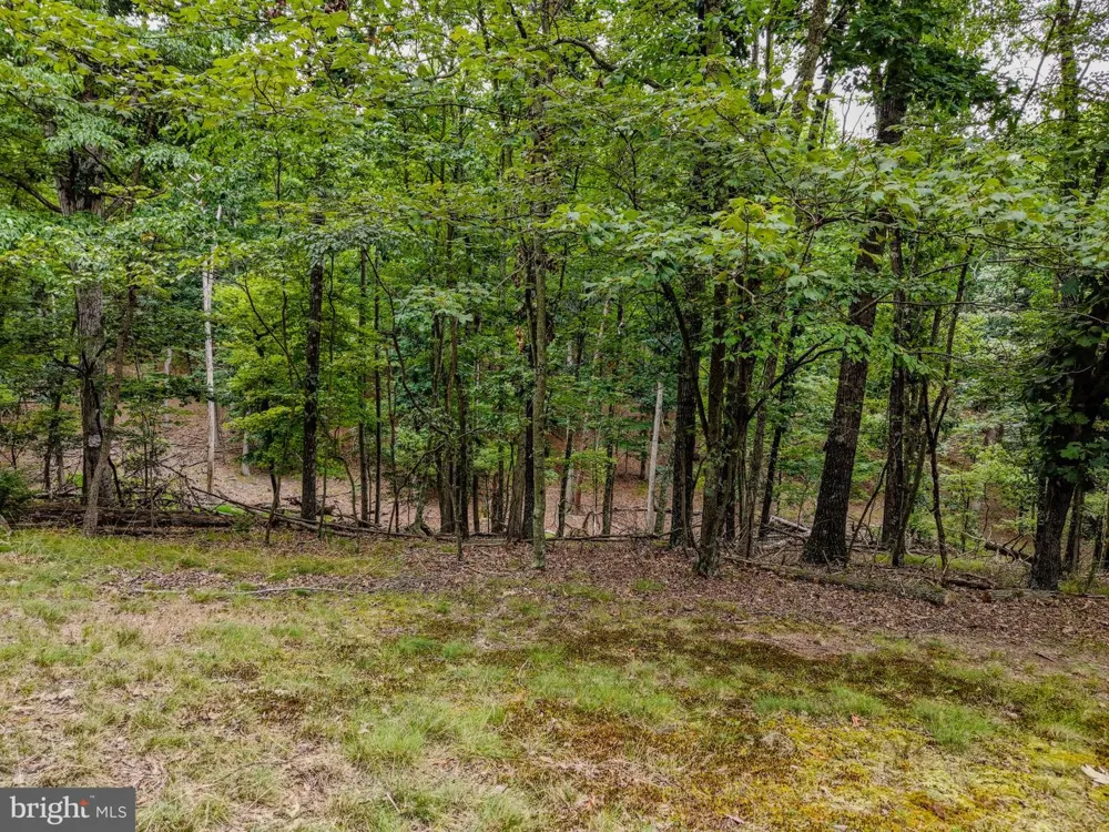 843 CEDAR RUN LANE Great Cacapon, WV 25422