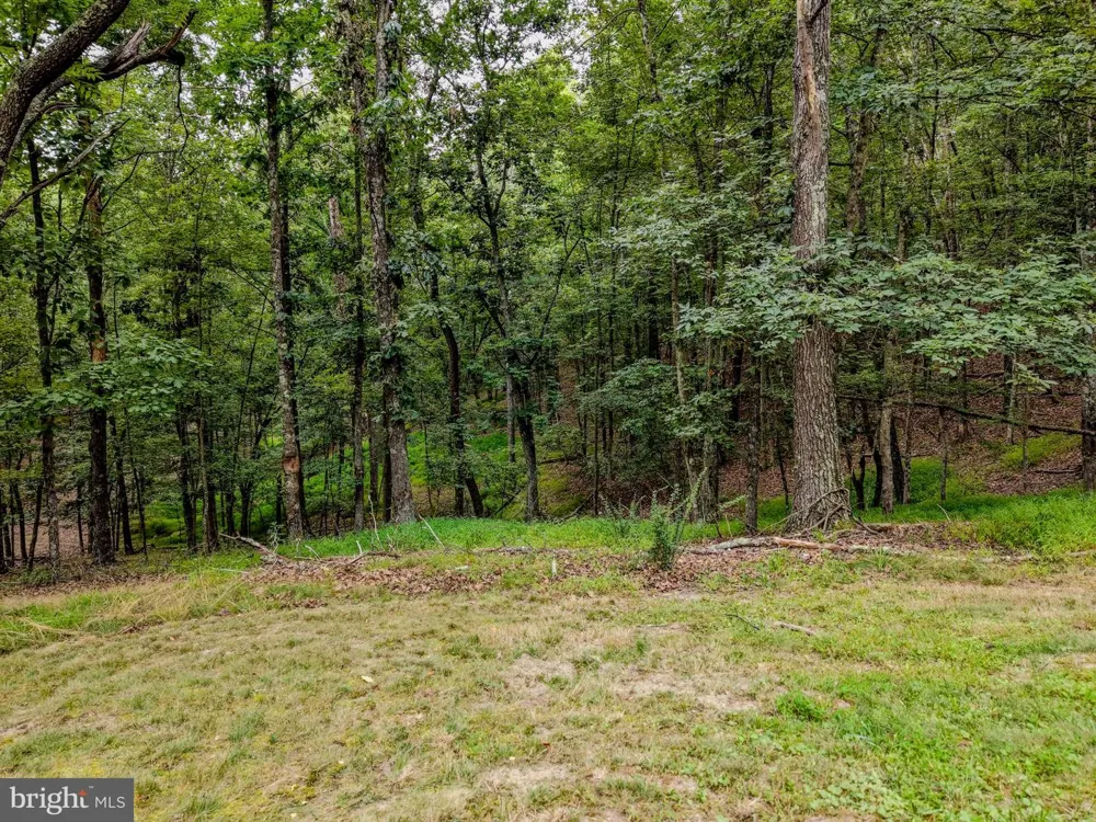 843 CEDAR RUN LANE Great Cacapon, WV 25422