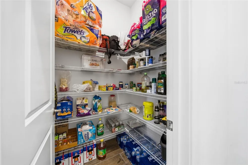 21676 SNOWY ORCHID TERRACE Land O Lakes, FL 34637
